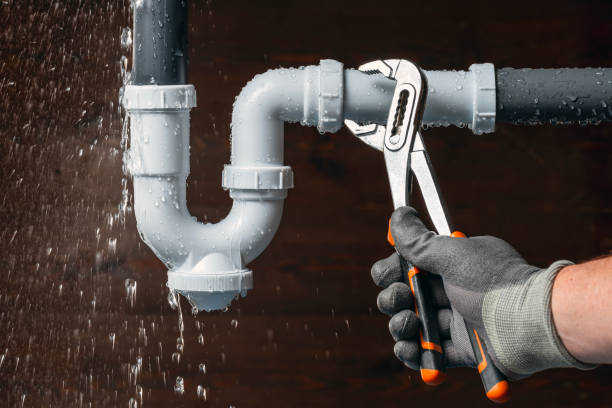 Professional Plumbing technician working in Pierz, MN